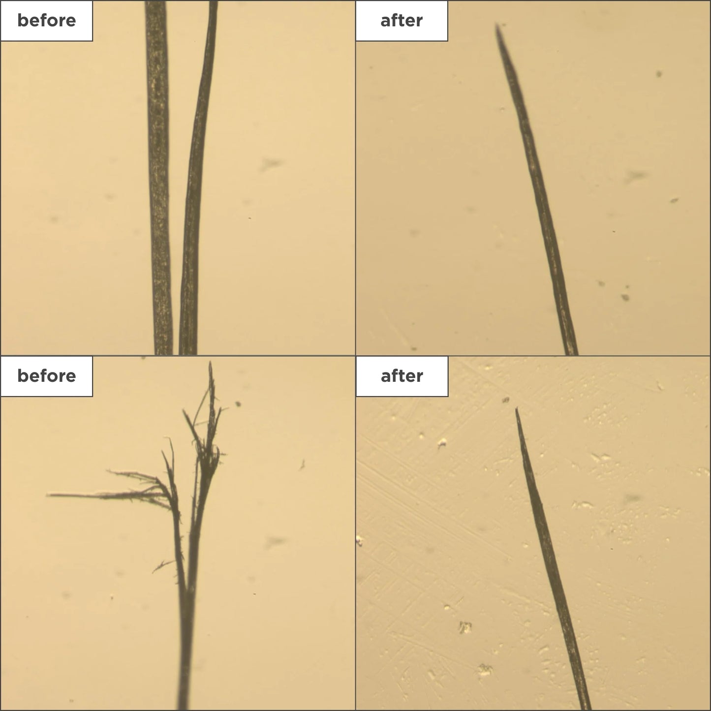 Briogeo Don’t Despair Strengthening Treatment Oil