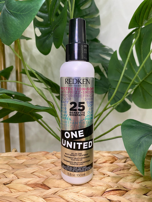 Redken One United All In One