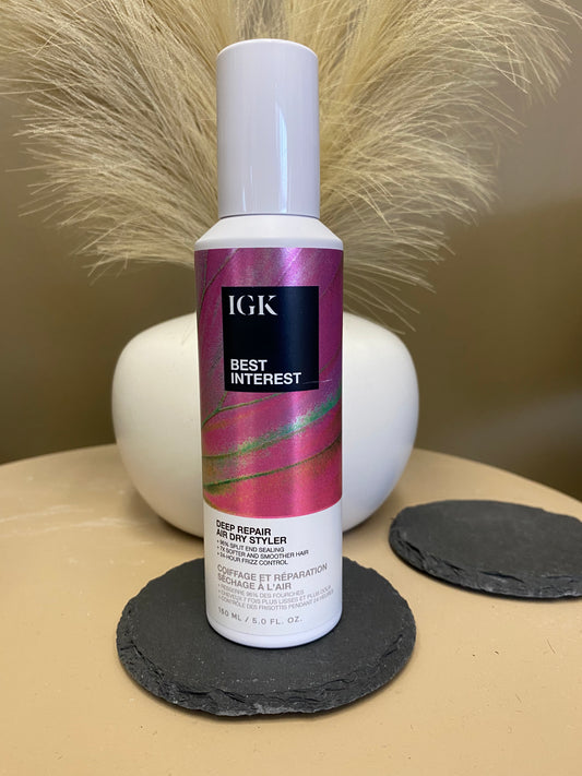 IGK Best Interest Deep Repair Air Dry Styler